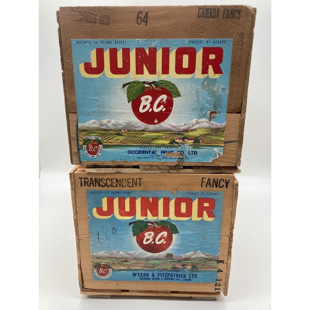 Vintage BC Junior Apple Crate Wooden Fruit Box Okanagan BC Tree Fruits Label